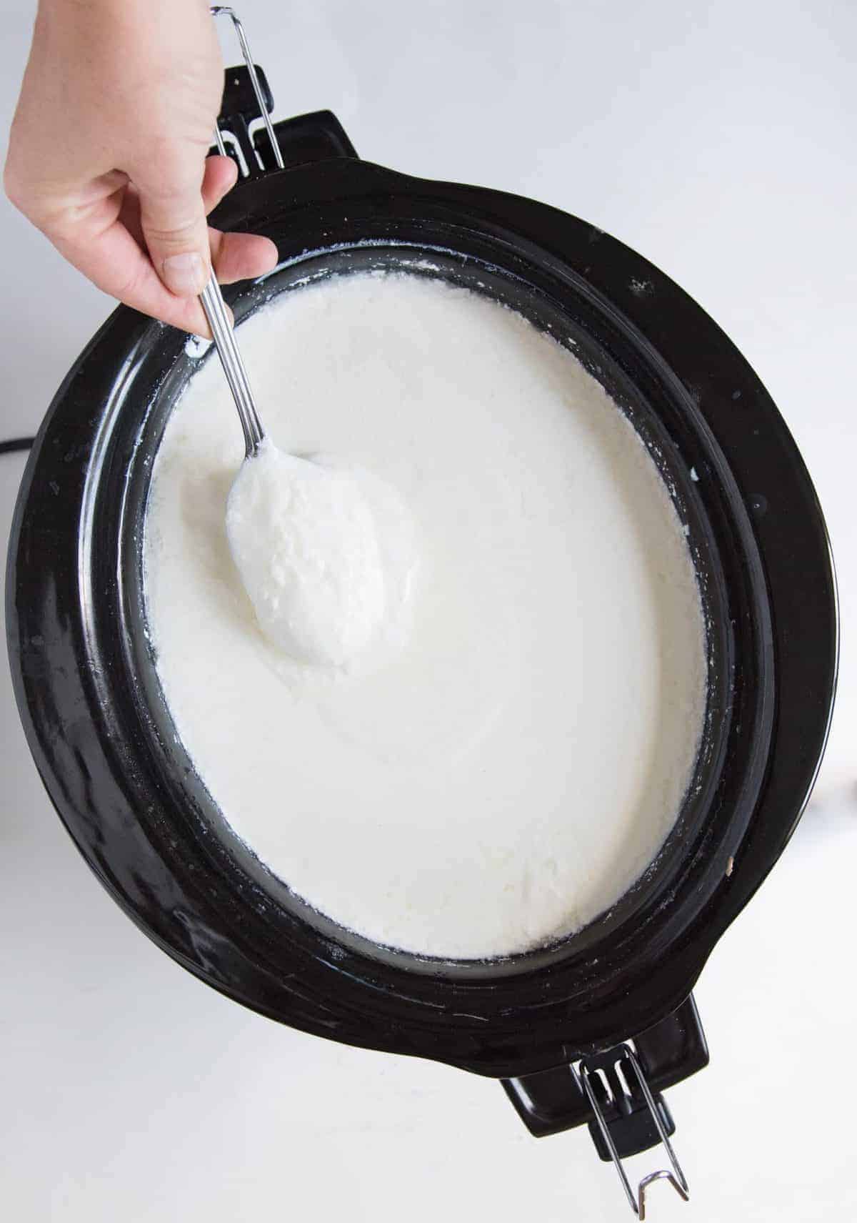Top view of a slow cooker full of yogurt with a hand scooping a spoonful out.