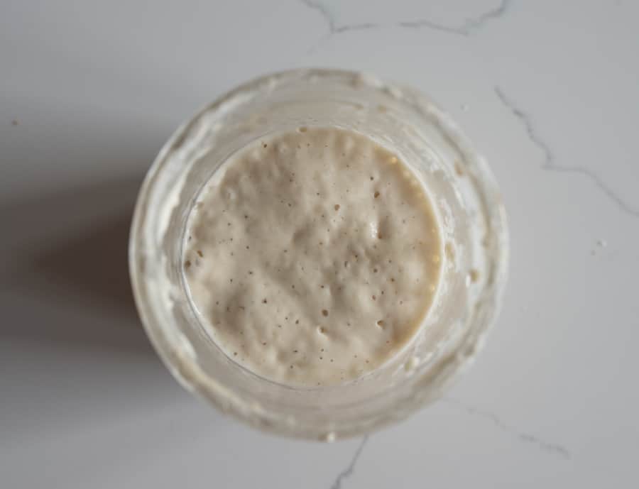 sourdough starter overhead image